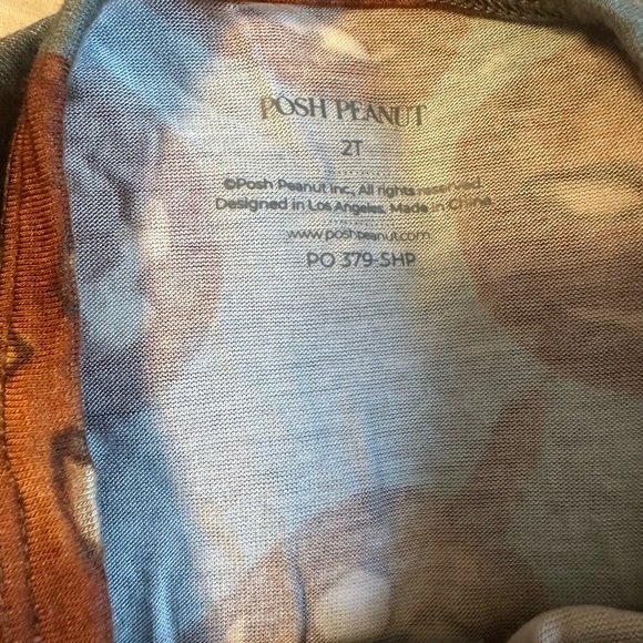 Posh Peanut pumpkin long sleeve twirl.  EUC 2T - Picture 2 of 6